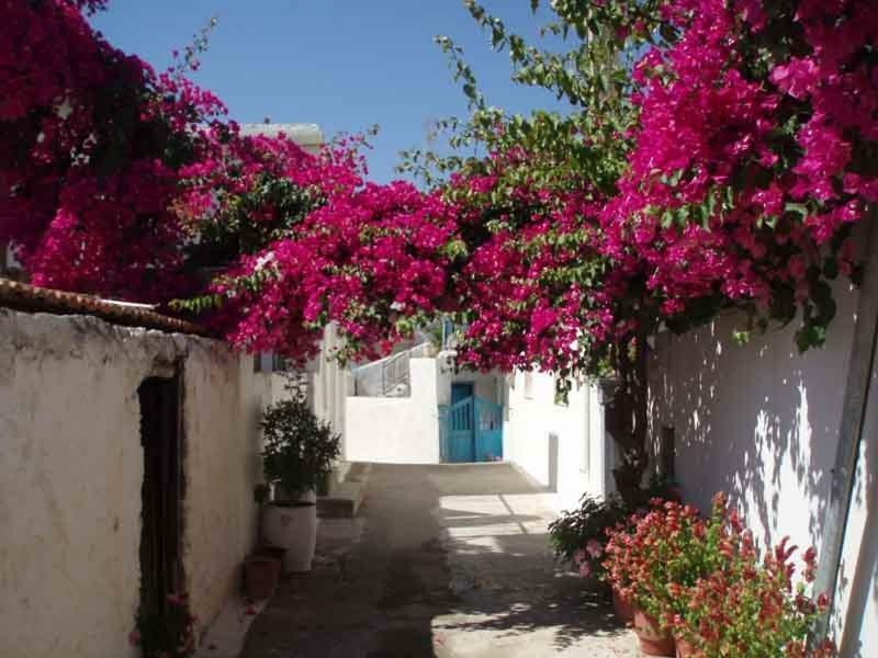 Tourloti Village House Dış mekan fotoğraf